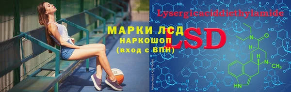 сатива Козловка