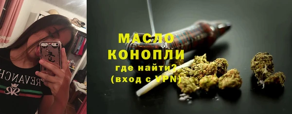 сатива Козловка