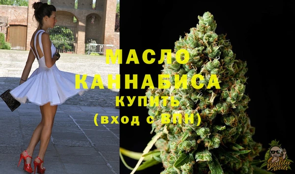 сатива Козловка