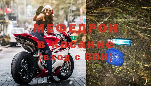 сатива Козловка