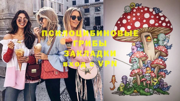 сатива Кинешма