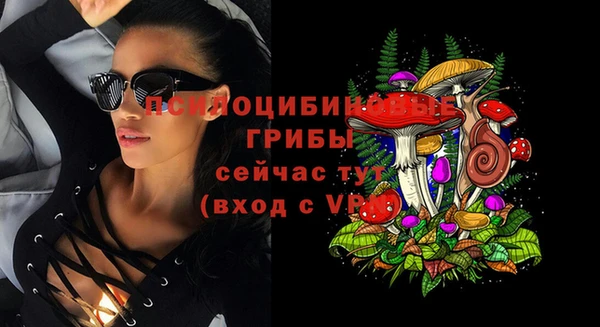 прущая мука Кодинск